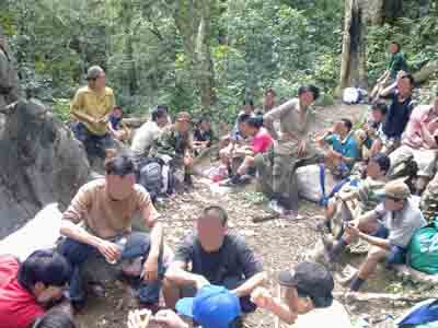 Nghi án hạt phó lấy gỗ sưa của lâm tặc?