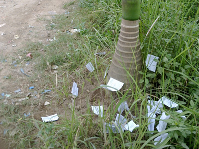 'Phao' thi vẫn xuất hiện