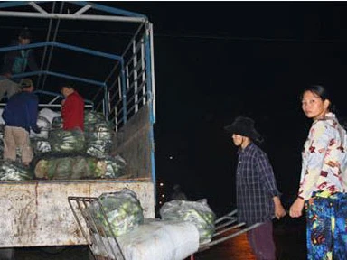 Lao động tự do nhịn ăn... lo Tết