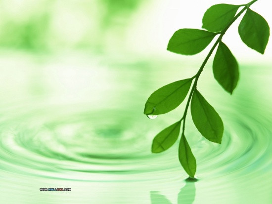 Hiểu rõ về cái đầu, không để cảm xúc dẫn dắt