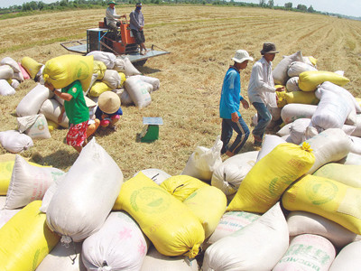 Xuất khẩu gạo và thủy sản đều tăng