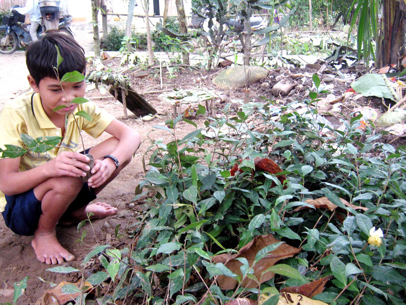 Tiền tỷ bỏ phí bìa rừng