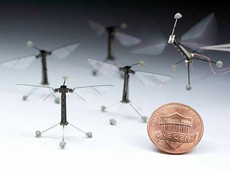 Rô bốt ong nhỏ nhất thế giới lần đầu cất cánh