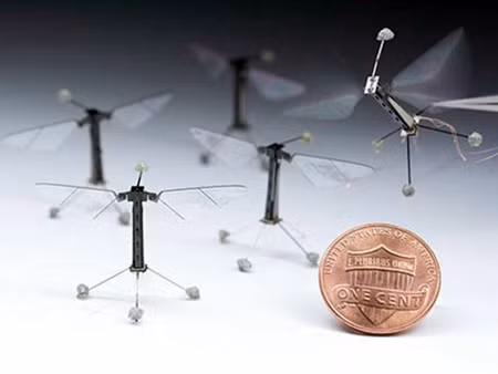 Rô bốt ong nhỏ nhất thế giới lần đầu cất cánh