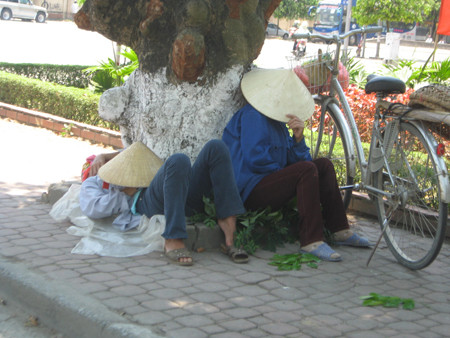 Vào rừng tránh nắng nóng