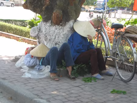 Vào rừng tránh nắng nóng