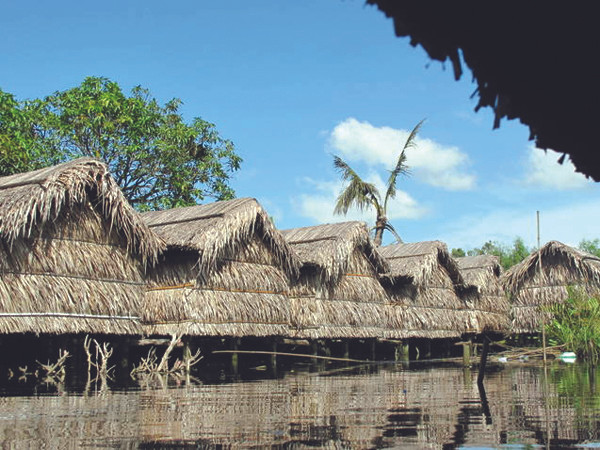 Cà phê chòi mọc lên như nấm ở Cà Mau Ảnh: T.H