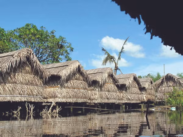 Cà phê chòi mọc lên như nấm ở Cà Mau Ảnh: T.H