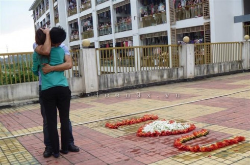 Tỏ tình bằng hoa gạo gây náo loạn khu chung cư