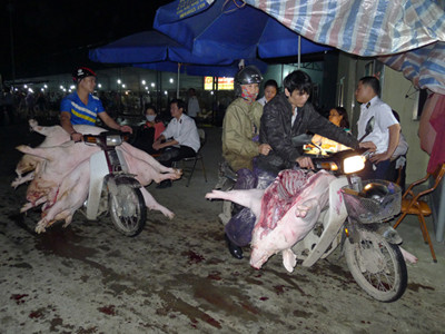 Thịt mất vệ sinh và tù mù chất cấm