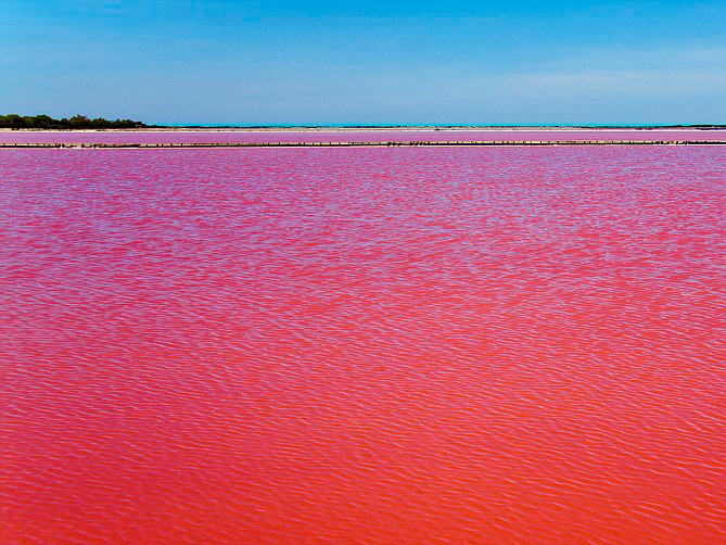 Kỳ lạ dòng sông ‘đẫm máu’