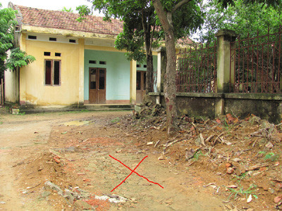 Tặng cây sưa cho “đầu nậu” gỗ