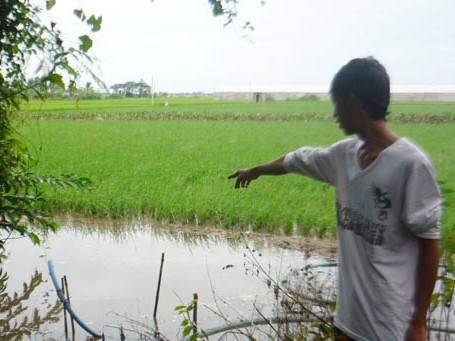 Thôn nữ sát hại bé gái 3 tuổi cướp đôi bông tai