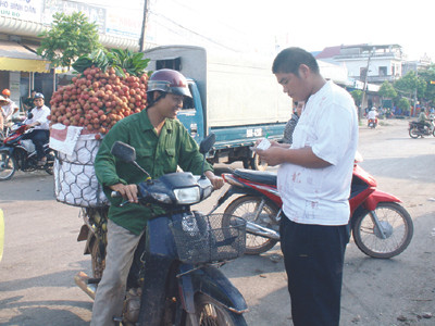 Thương nhân Trung Quốc đổ xô về Lục Ngạn mua vải thiều