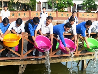 Thả cá giống vào hồ câu