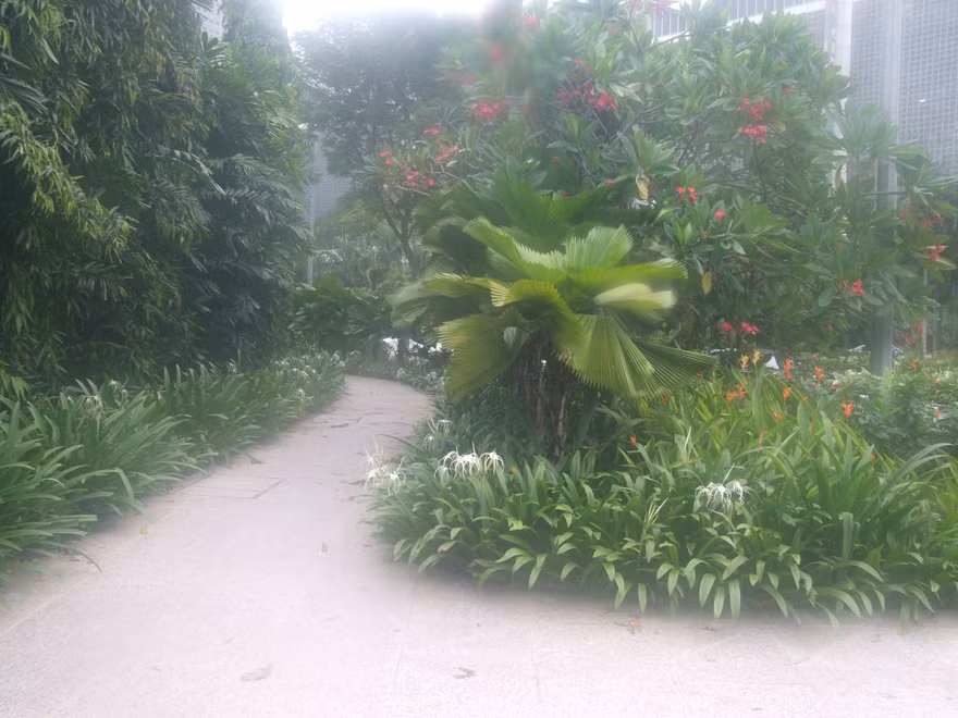 Singapore đứng đầu danh sách đô thị có không khí trong lành nhất châu Á. Một đoạn vỉa hè trên đại lộ Raffles, nơi diễn ra hội nghị do CAI-Asia tổ chức từ 9-12/11