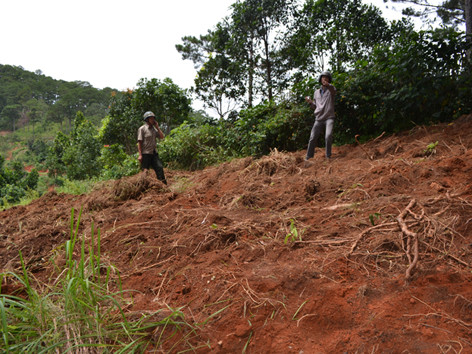 San ủi đất rừng trái phép bằng xe cơ giới