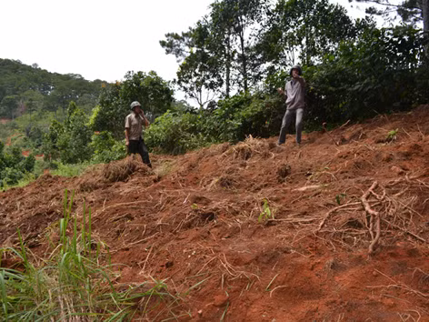 San ủi đất rừng trái phép bằng xe cơ giới