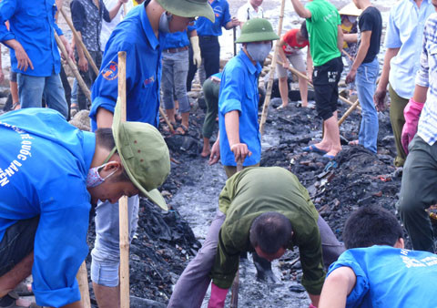 Mùa hè xanh ở Thanh Hóa