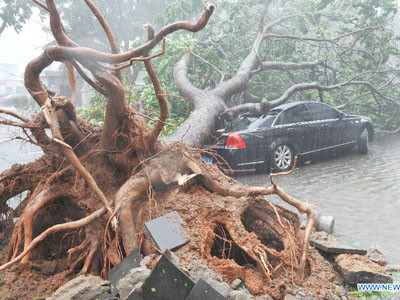Bão Nesat 'tấn công', 300.000 người Trung Quốc sơ tán