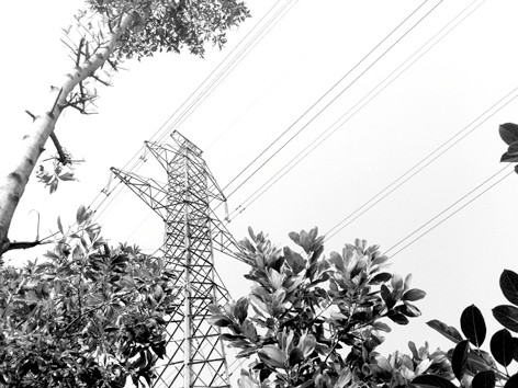 Ngang nhiên xâm phạm hành lang an toàn lưới điện