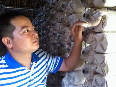 Chàng trai trẻ mê nông nghiệp công nghệ cao