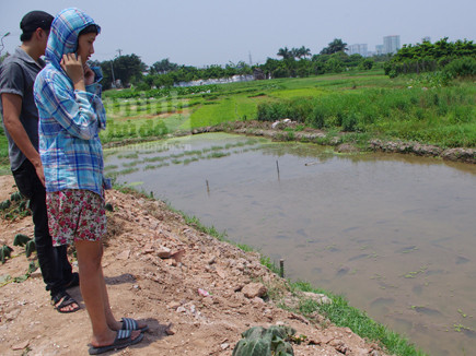 Bé gái 5 tuổi suýt bị dìm chết dưới ruộng rau