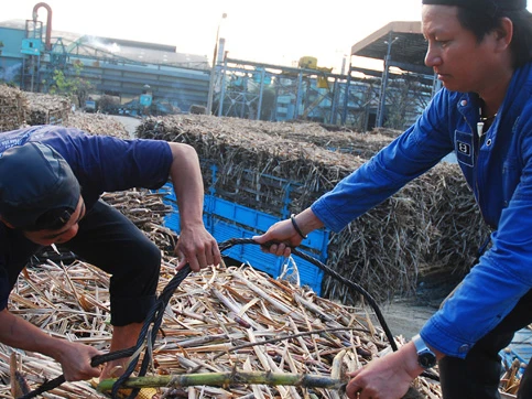 Cuộc chiến 70.000 tấn đường giá rẻ