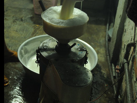 Uống sữa đậu nành mà... run