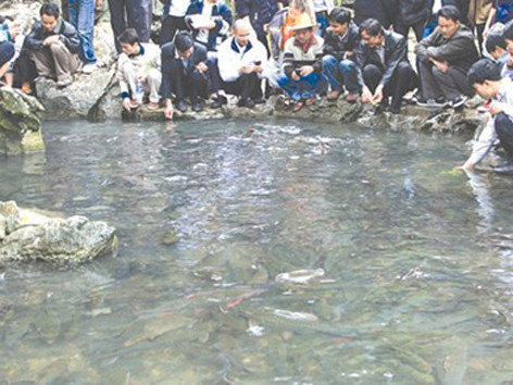 Phát hiện mới về 'suối cá thần' linh thiêng ở xứ Thanh