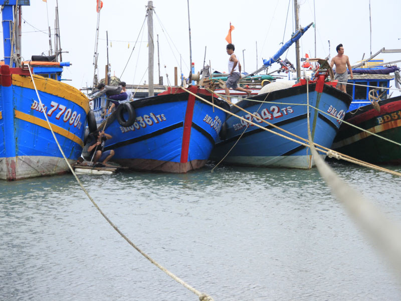 Miền Trung sơ tán gần 156.000 dân vì bão