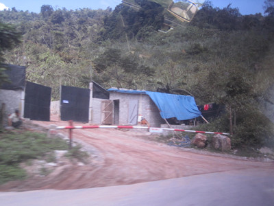 Bất thường trong xử lý trại bò không phép