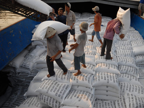 Bấp bênh nông sản xuất khẩu