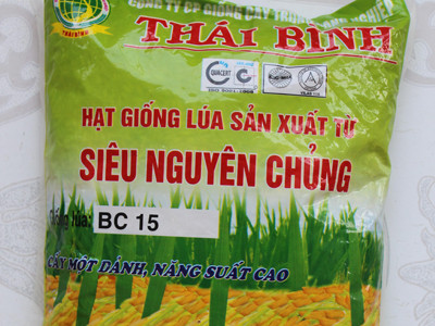 Vụ giống lúa BC15 giả: Không liên quan lúa lép ở các tỉnh