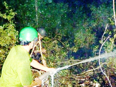 Chữa cháy rừng U Minh hạ Ảnh: tiến hưng