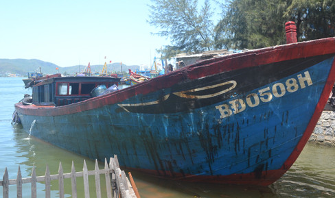 Báo cáo Thủ tướng vụ tràn dầu biển Quy Nhơn