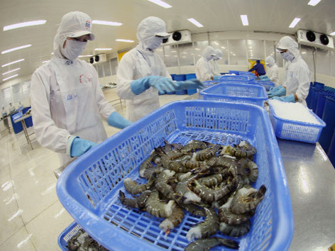 Mỹ công nhận tôm Việt Nam không bán phá giá