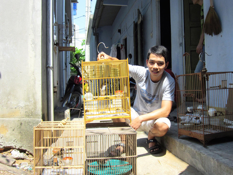 Thành - SV ĐH Kiến trúc Đà Nẵng chia sẻ bữa ăn và phòng trọ của mình cho 4 lồng chim. Ảnh: T.H