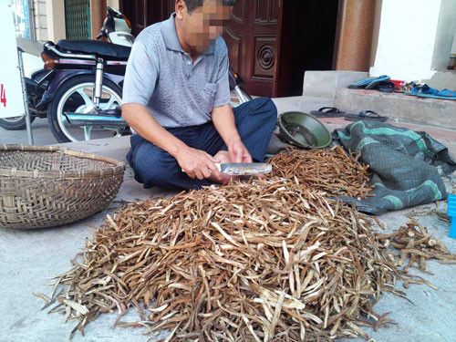 “Đông dược” hay độc dược ?