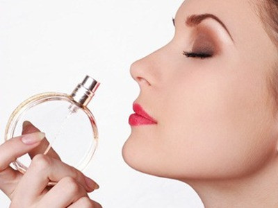 Chiếc mũi quyết định sự sống