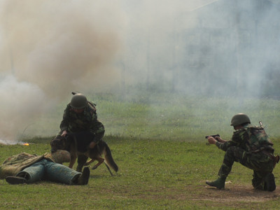 'Chiến binh' thầm lặng