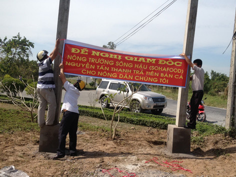 Một năm tôm được thời, cá tra gặp khó