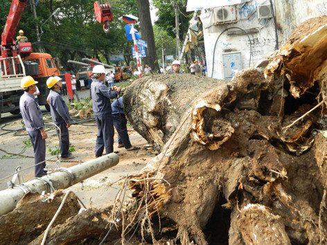 Kỷ luật các 'sếp lương khủng': đúng và kịp thời