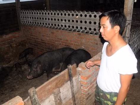 Tự lo hàng chục tấn thực phẩm