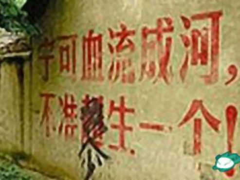 Chồng của sản phụ bị ép phá thai mất tích