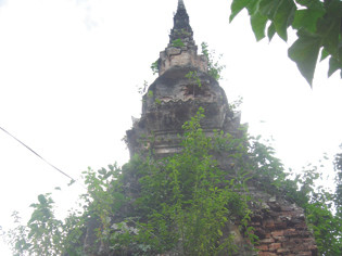 Mộng du tháp cổ