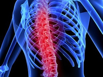 Ghép tủy sống chữa… khuyết tật tứ chi và các bệnh tâm thần!