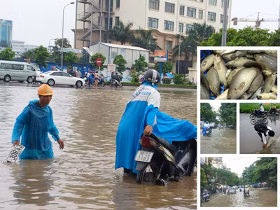 Bắt cá, lội nước trên đường phố Hà Nội