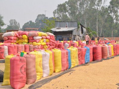 Bức bách giảm tổn thất