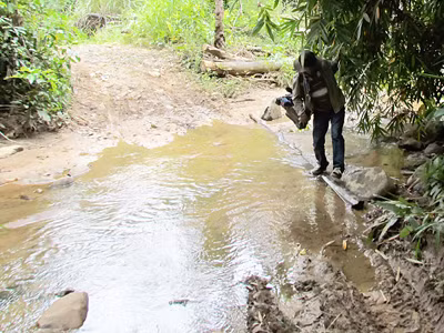 Lâm tặc chặt, chủ rừng đốt?